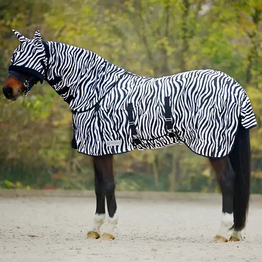 Black and white zebra-striped equestrian fly rug with adjustable straps for horse protection