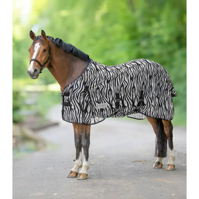 Black and white zebra-print fly rug zebra with black straps and buckles for equestrian use