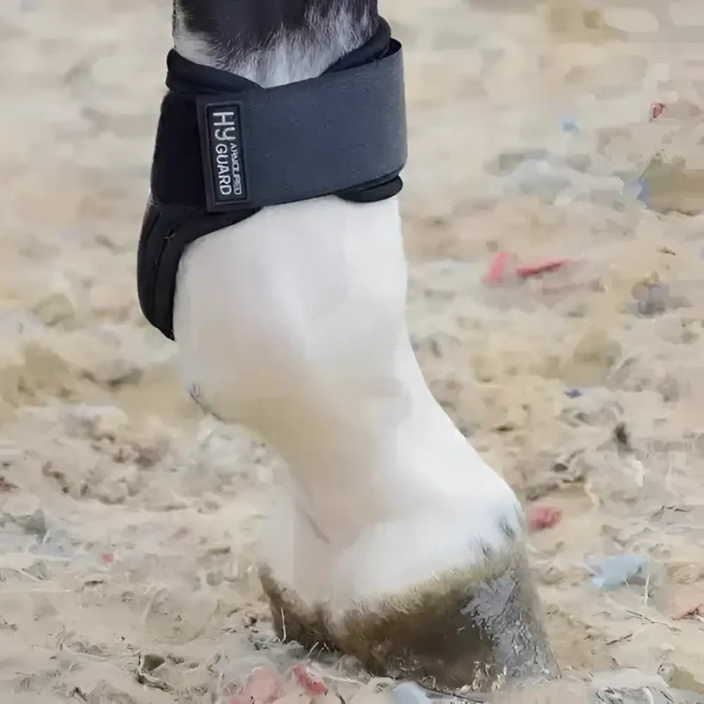 Black hyguard hoof protector with adjustable strap and padding from armoured guard pro protect compliant fetlock boots