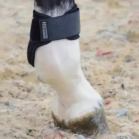 Armoured Guard Pro Protect Compliant Fetlock Boots Black Large Fetlock Boots