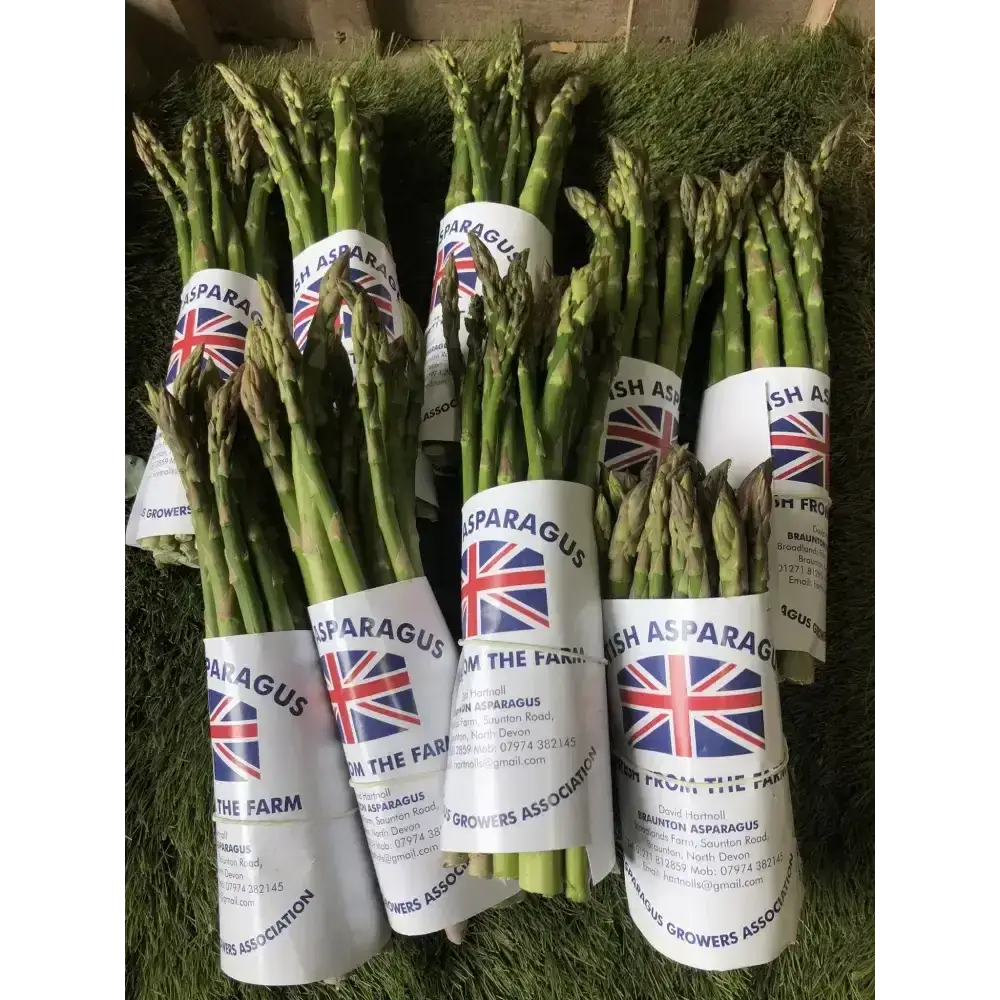Asparagus vegetables