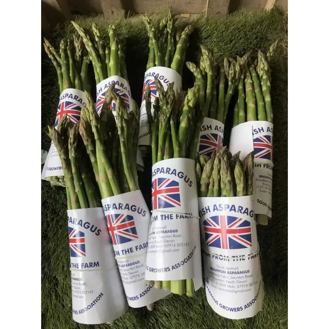 Asparagus vegetables