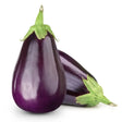Two glossy deep purple aubergines with vibrant green stems perfect for cooking or adding color like equestrian supplies