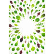 A spiral-bound baby leaf salad box notebook with a white cover featuring green and purple leafy vegetables pattern