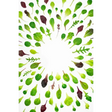Baby Leaf Salad Box vegetables