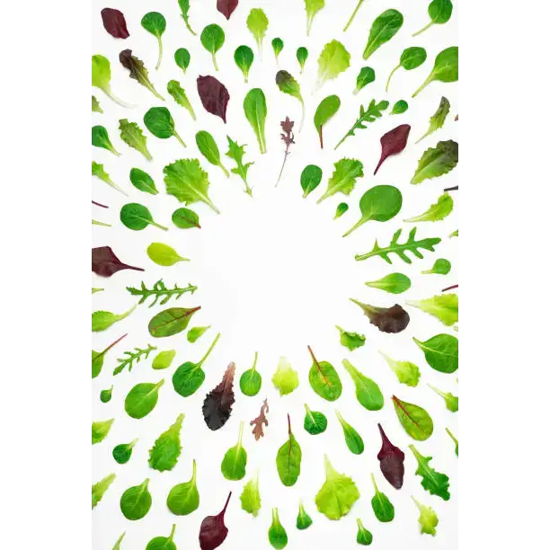 Baby Leaf Salad Box vegetables