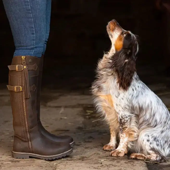 Brown leather hudson storm waterproof boots chocolate with gold buckles and zipper from bareback footwear hudson