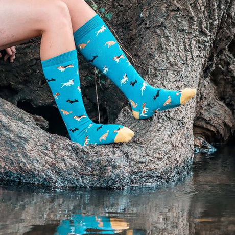 Bright turquoise funky welly socks with playful doggy diva pattern in black brown white and tan toes for ladies