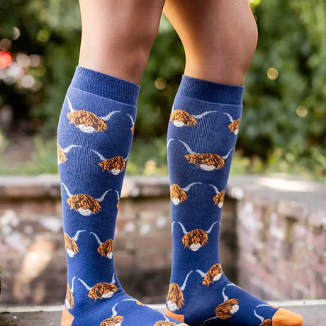 Blue cotton blend funky welly socks featuring brown and white highland cow pattern with orange toes for ladies