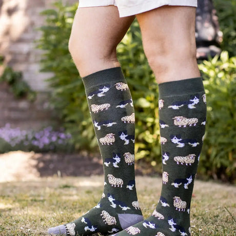 Dark green bartleby funky welly socks mens sheep and sheepdog pattern in cotton blend knee-high style