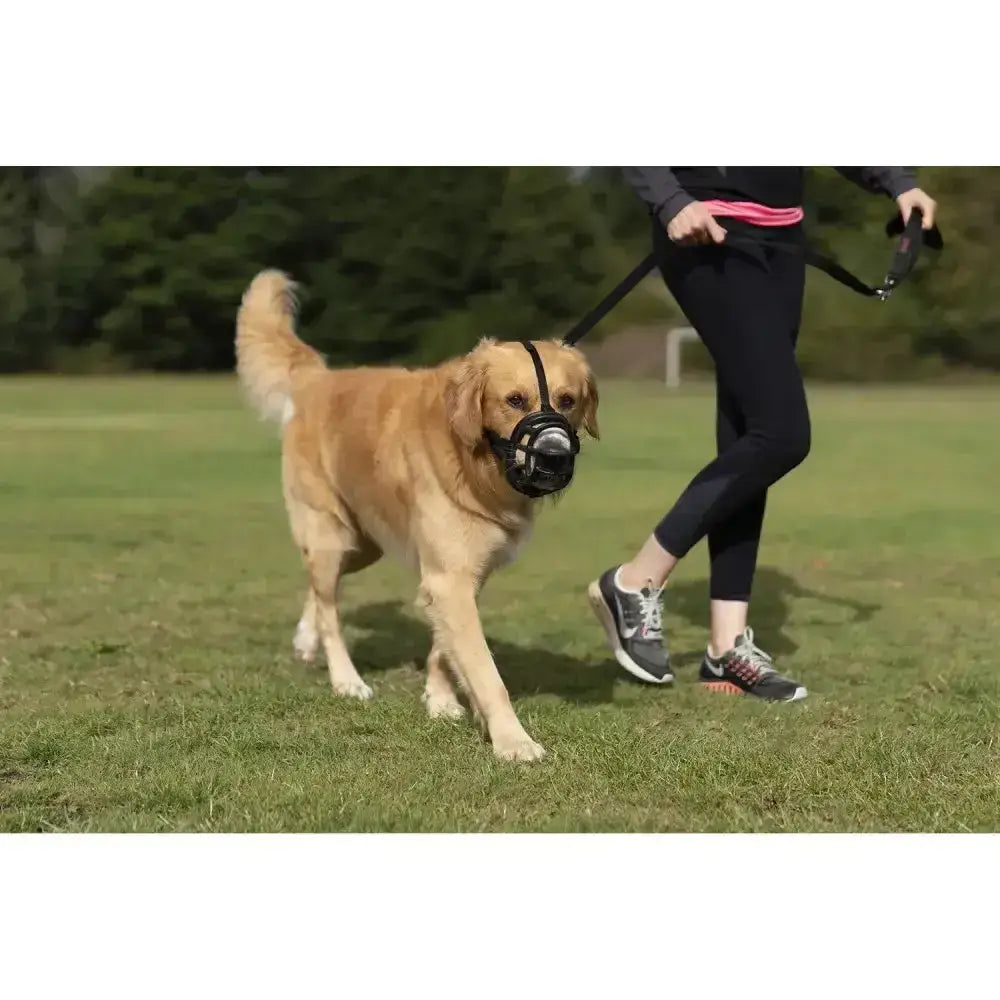 Black mesh baskerville ultra dog muzzle with adjustable straps offers maximum safety and comfort for dogs
