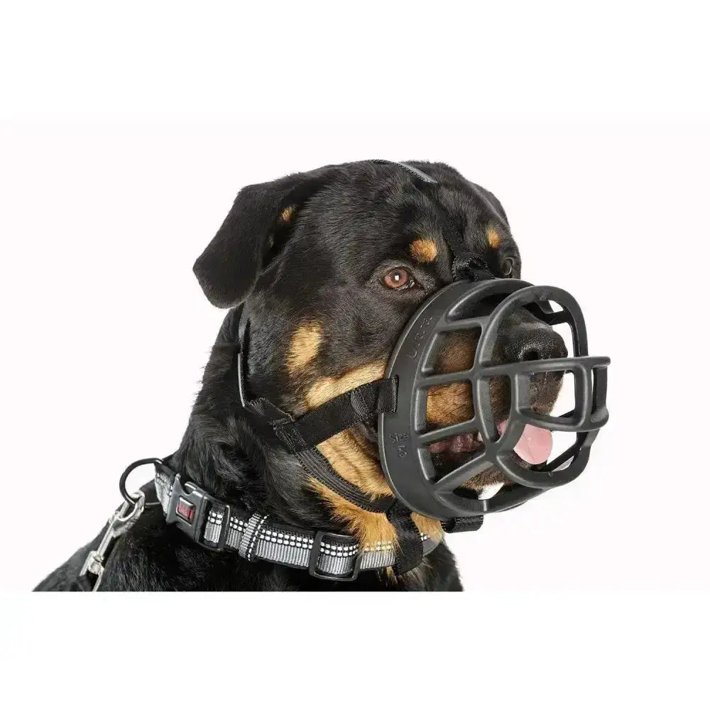 Black baskerville ultra dog mesh muzzle with adjustable straps on rottweiler offers maximum safety and comfort
