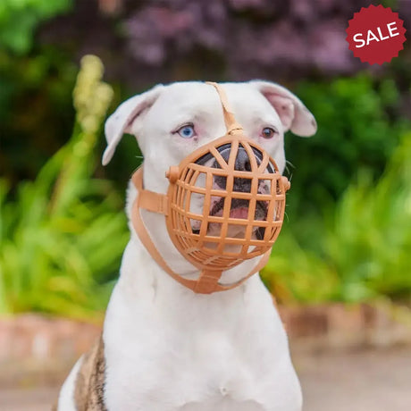 BASKERVILLE WIDE FIT BASKET MUZZLE 1 Dog Muzzles