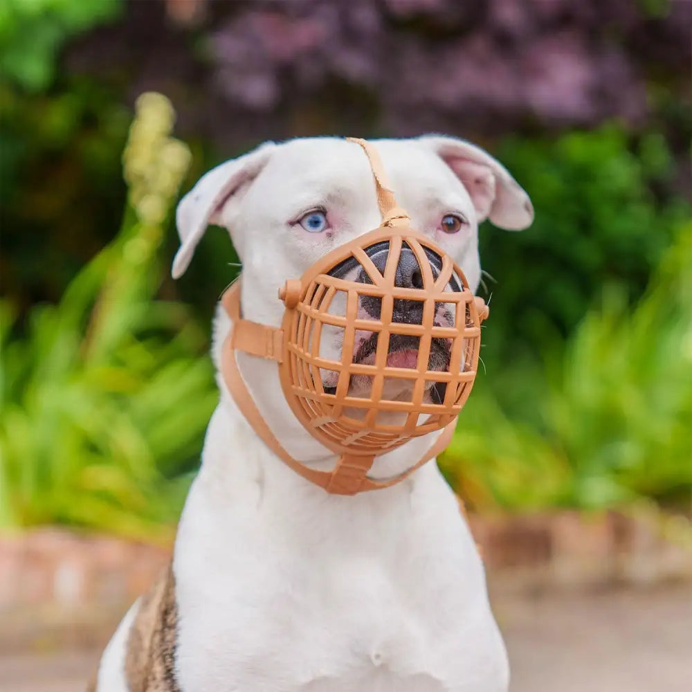 Tan plastic mesh baskerville wide fit basket muzzle with adjustable straps for comfortable wide fit basket use