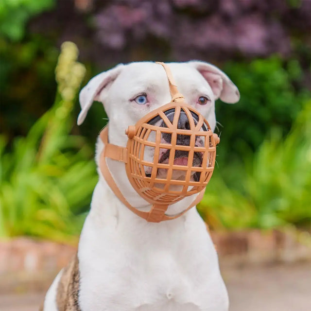 Tan plastic mesh baskerville wide fit basket muzzle with adjustable straps for comfortable wide fit basket use