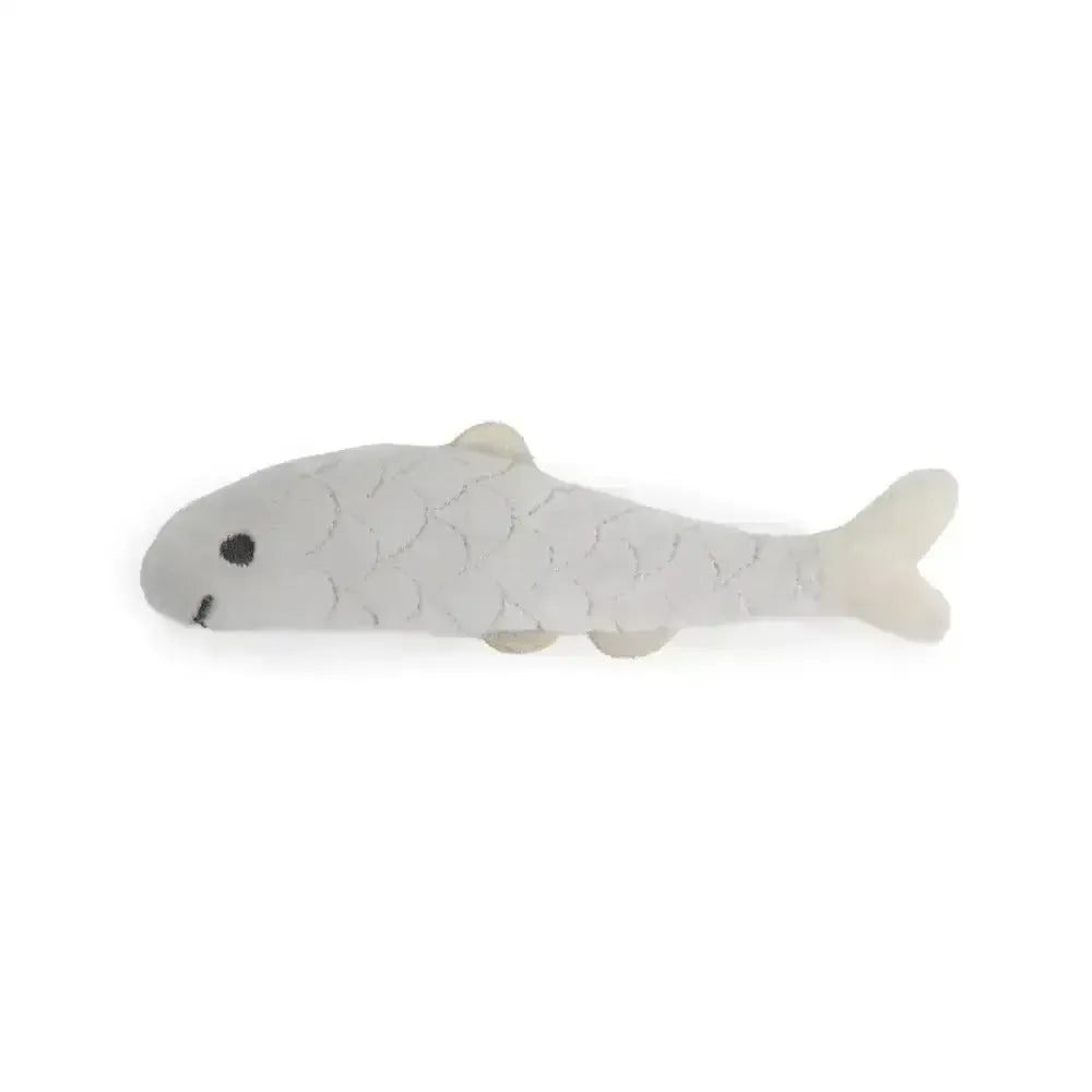 Battersea Daily Catch Pack Of 3 Small Pet