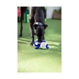 Blue and white battersea rubber belly bear plush toy with striped belly is a multi-textured tough toy to satisfy natural chewing instincts
