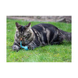 Battersea Tune Chaser Mice Pack Of 3 Cat Toy