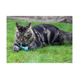 A fluffy tabby cat holding a bright blue battersea tune chaser mice toy with motion activated sounds on green grass