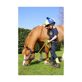 A young child wearing brave tots jodhpurs with bulk elastic ankles stands beside a chestnut horse in a grassy field