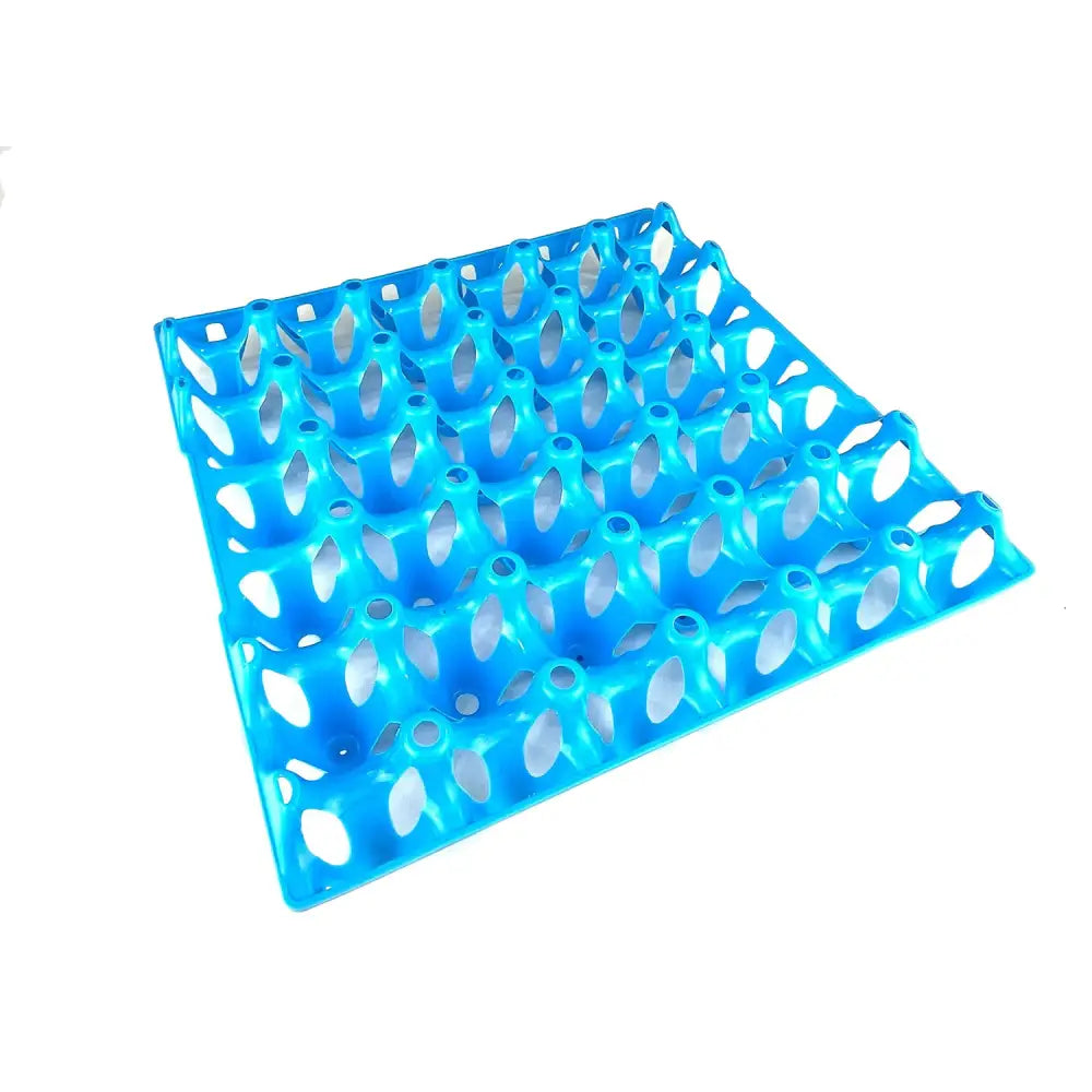 Bright blue plastic bec egg tray with oval compartments designed to securely hold eggs in an egg tray layout