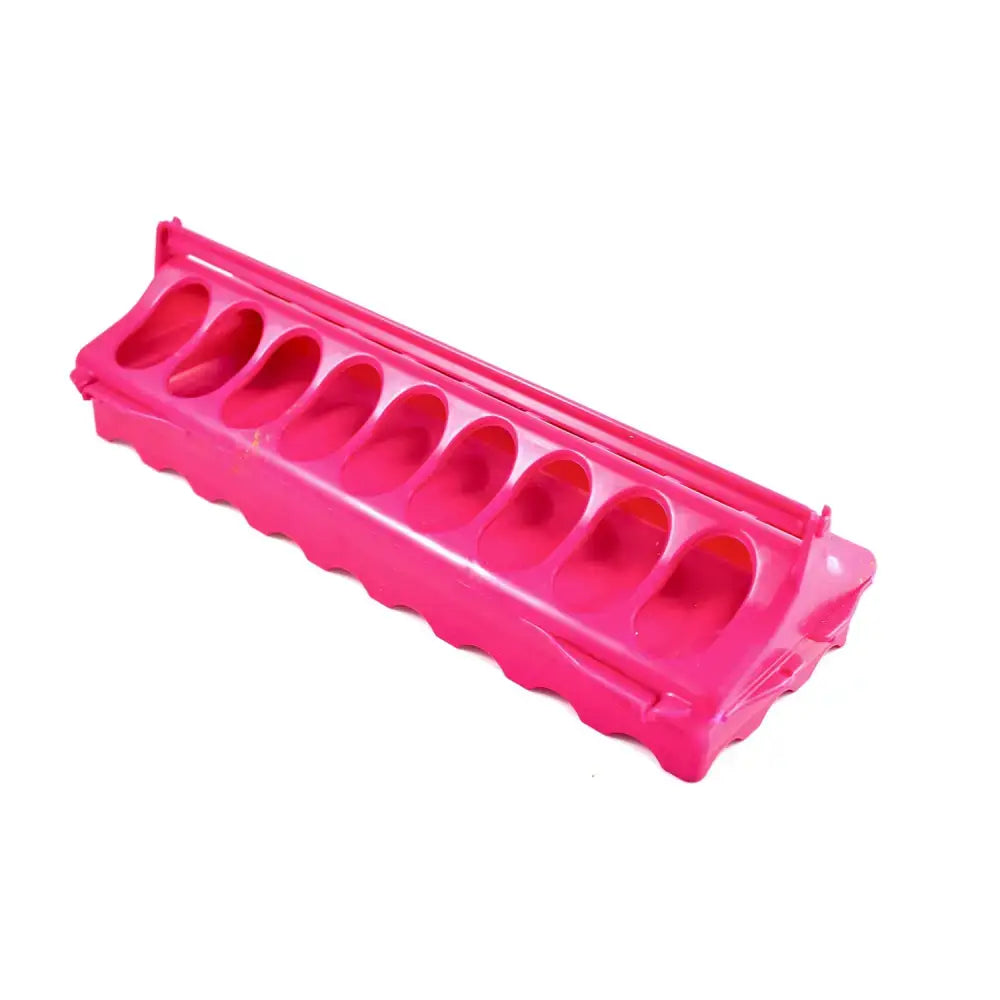 Bright pink plastic egg holder with ten oval compartments designed for bec linear feeder use