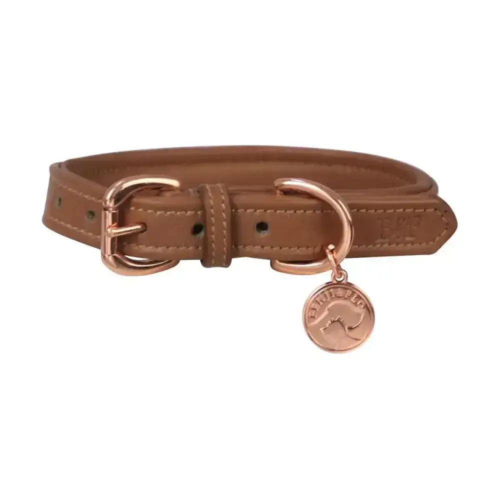 Tan flo deluxe padded leather dog collar with rose gold buckle and kangaroo tag by benji & flo