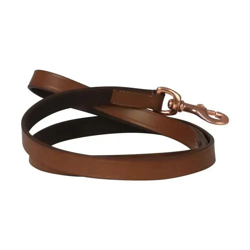 Benji and flo deluxe padded leather dog lead with brown leather and copper-toned metal clasp luxuriously soft padded