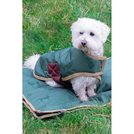 Benji & Flo Divine Deer Dog Coat Moss/Merlot/Fawn Small Dog Bed Barnstaple Equestrian Supplies