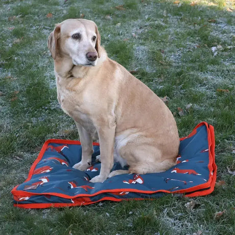 A cozy blue and orange benji & flo frivolous fox dog bed with plush cushioned design and fox pattern