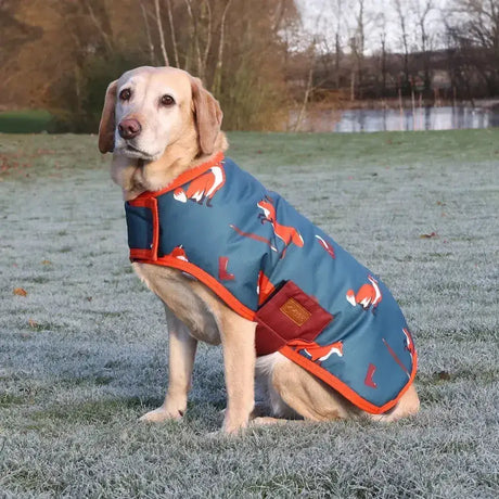 Benji & flo frivolous fox dog coat in blue with fox pattern orange trim and brown side patch for stylish warmth