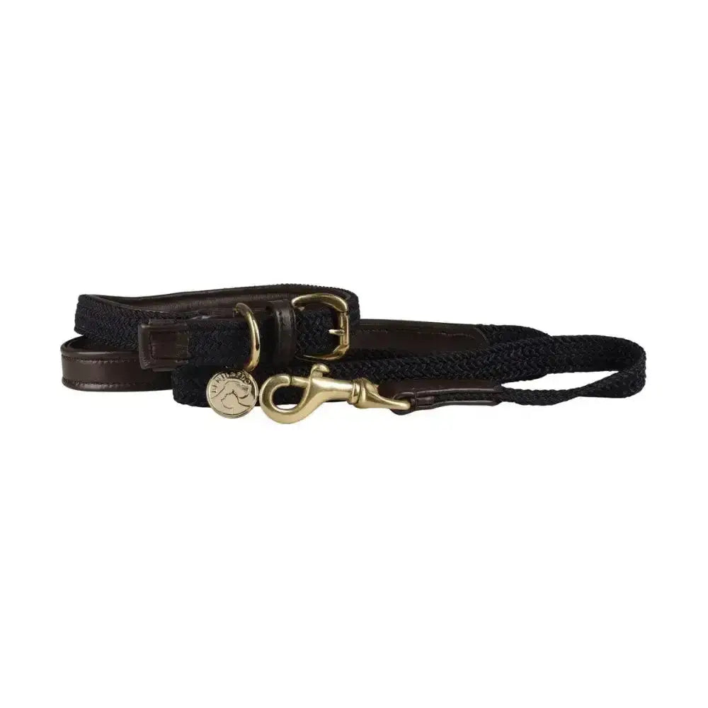 Black braided leather dog leash with brass hardware and horse emblem tag from benji & flo interlaced dog lead