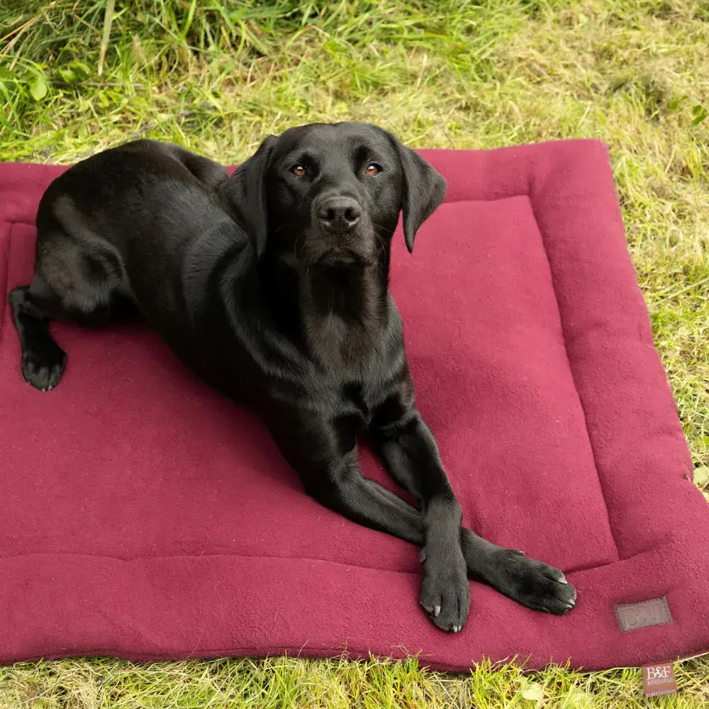 A plush deep red benji and flo luxury fleece dog bed with quilted design and soft fleece fabric for cozy comfort