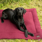 A plush deep red benji and flo luxury fleece dog bed with quilted design and soft fleece fabric for cozy comfort