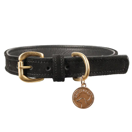 Black flo noble suede dog collar with brass buckle and bronze charm featuring dog silhouette