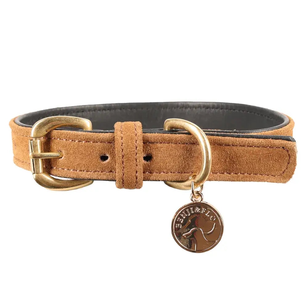 Tan suede dog collar with brass hardware and circular engraved tag from benji & flo noble suede collection