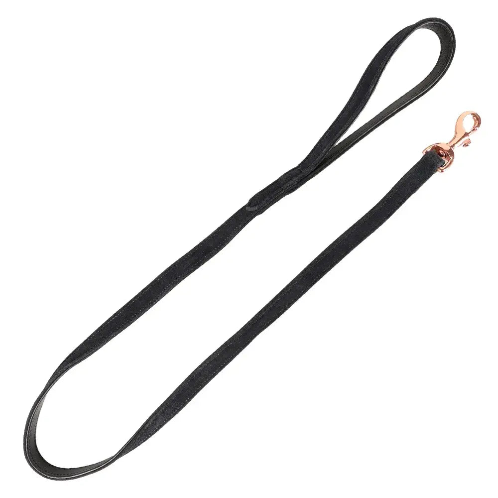 Black leather flo noble suede dog lead with rose gold metal clasp perfect for stylish dog walks