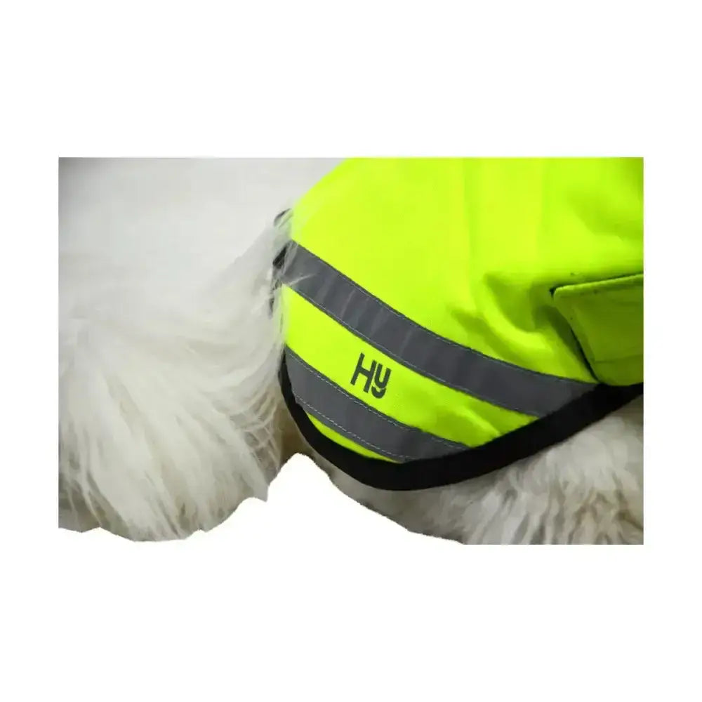 White fluffy dog wearing bright neon yellow benji & flo reflector waterproof dog coat with gray stripes and black trim