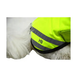 White fluffy dog wearing bright neon yellow benji & flo reflector waterproof dog coat with gray stripes and black trim
