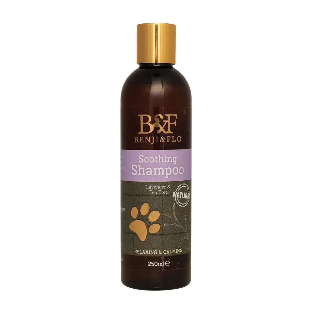 A dark brown benji & flo soothing shampoo bottle with gold cap and purple label featuring lavender and tea tree scent
