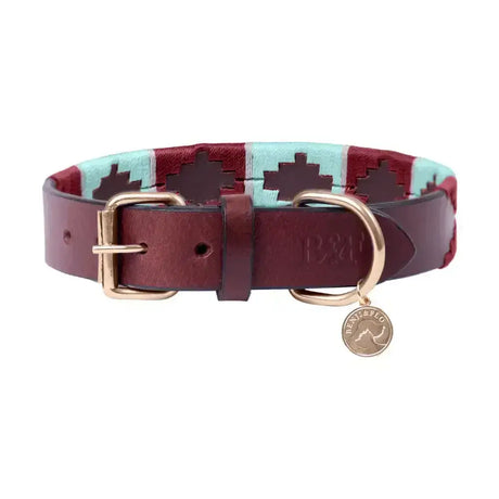Maroon and teal patterned sublime polo leather dog collar by benji & flo with gold-tone buckle and tag