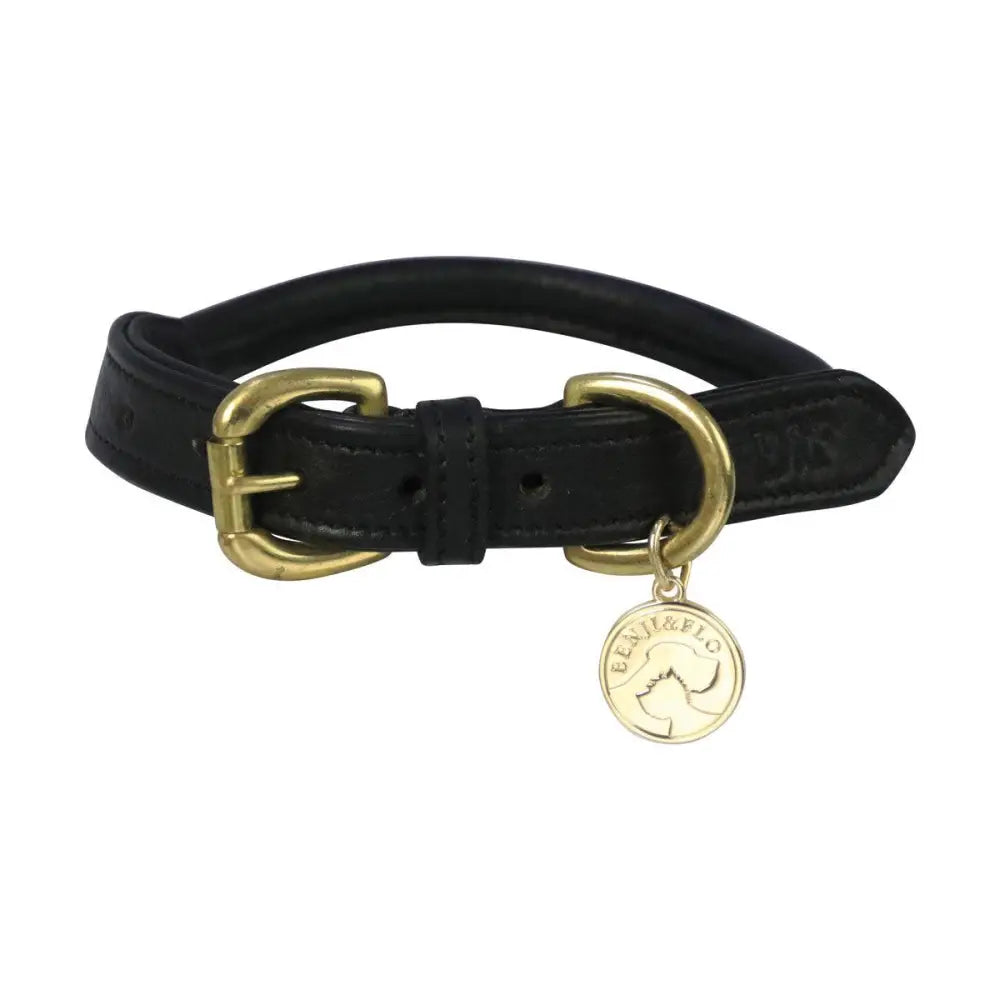 Benji & Flo Superior Rolled Leather Dog Collar Black/Brass Large Dog Collar Barnstaple Equestrian Supplies