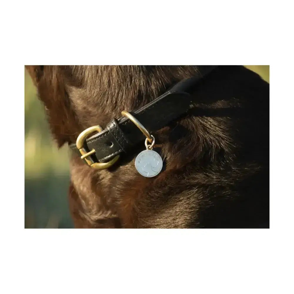 Benji & flo superior rolled black leather dog collar with brass buckle and silver circular tag