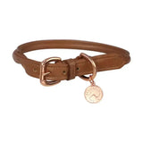 Tan leather dog collar with rose gold buckle and charm featuring dog silhouette benji & flo superior rolled leather