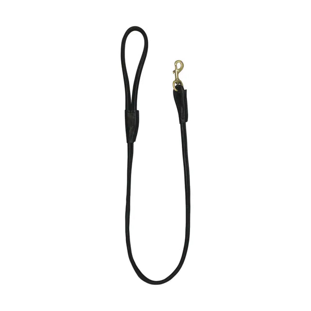 Benji & Flo Superior Rolled Leather Dog Lead Black/Brass Dog Lead Barnstaple Equestrian Supplies