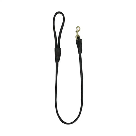 Black leather benji and flo superior rolled dog lead with gold toned metal clasp made from superior rolled leather