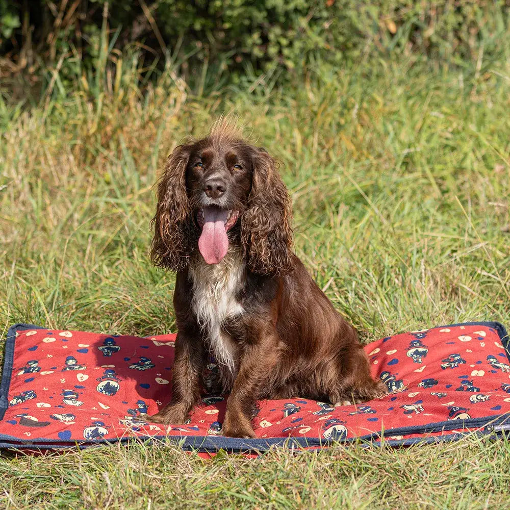 A brown and white cocker spaniel sits on a red balancing act dog bed from benji and flo thelwell collection