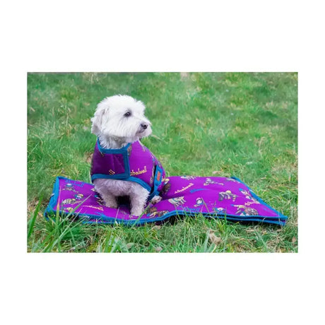 Purple and teal patterned dog coat with embroidered branding from benji and flo thelwell collection pony friends dog coat