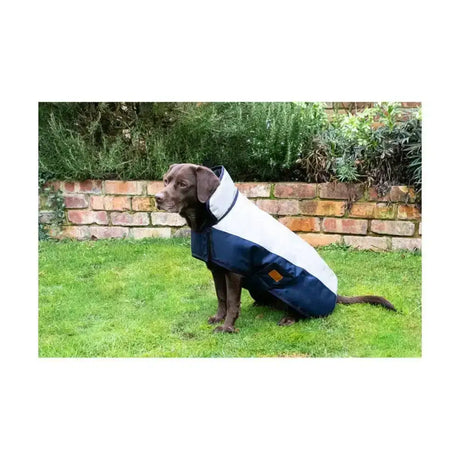 Navy and white waterproof dog coat with high collar and orange patch by benji & flo stylish dog coat