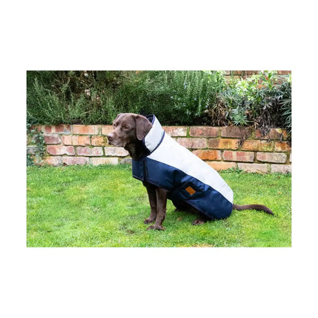 Benji & Flo Waterproof Dog Coat Navy/Reflective Silver XXXS Dog Coat